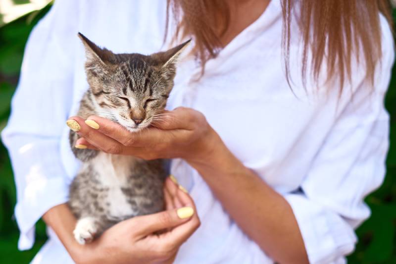 girl holding a kitten in her arms on white shirt background