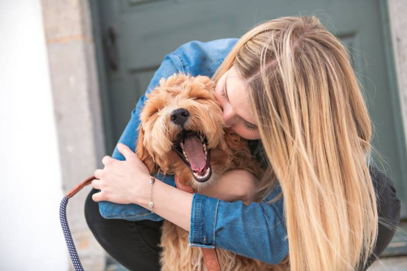 labradoodle dog and woman outside on balcony