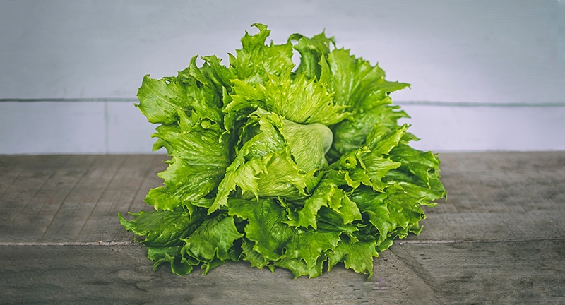 lettuce on the table