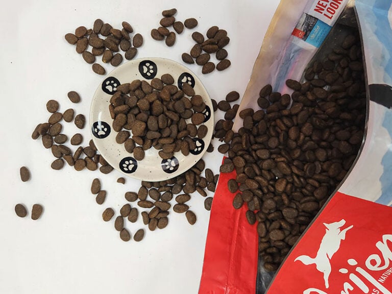 CARNA4 vs Orijen Dog Food Our 2024 InDepth Comparison Hepper