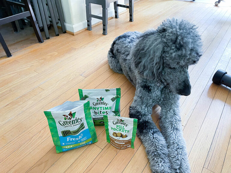 OraVet vs. Greenies Dental Treats 2024 Comparison Hepper