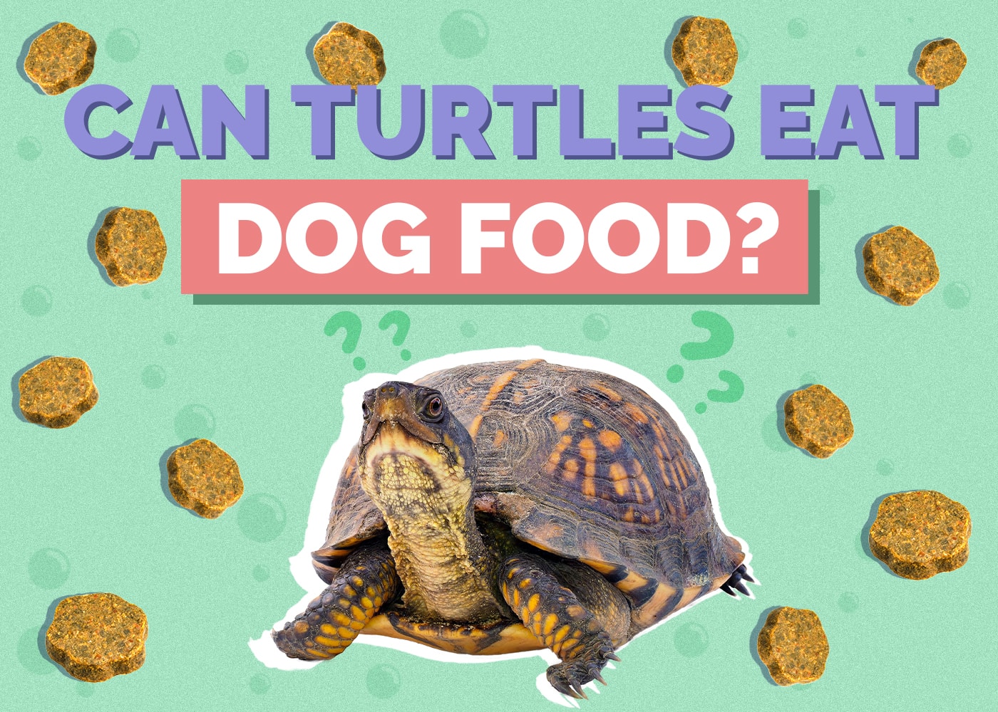 Can Turtles Eat Dog Food? Vet Approved Facts & Safety Guide Hepper