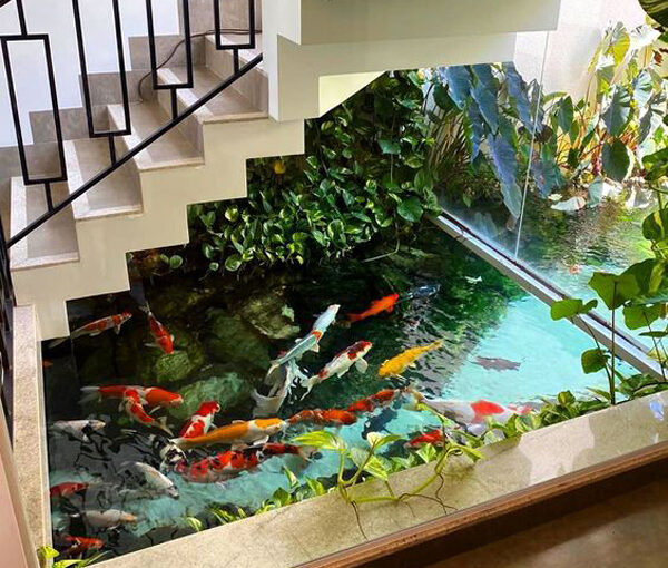 10 Amazing Indoor Koi Pond Ideas for Your Home (With Pictures
