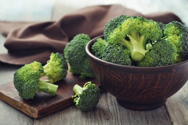 Broccoli safe for clearance cats