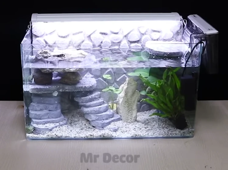 8 DIY Turtle Tanks You Can Build Today (With Pictures)