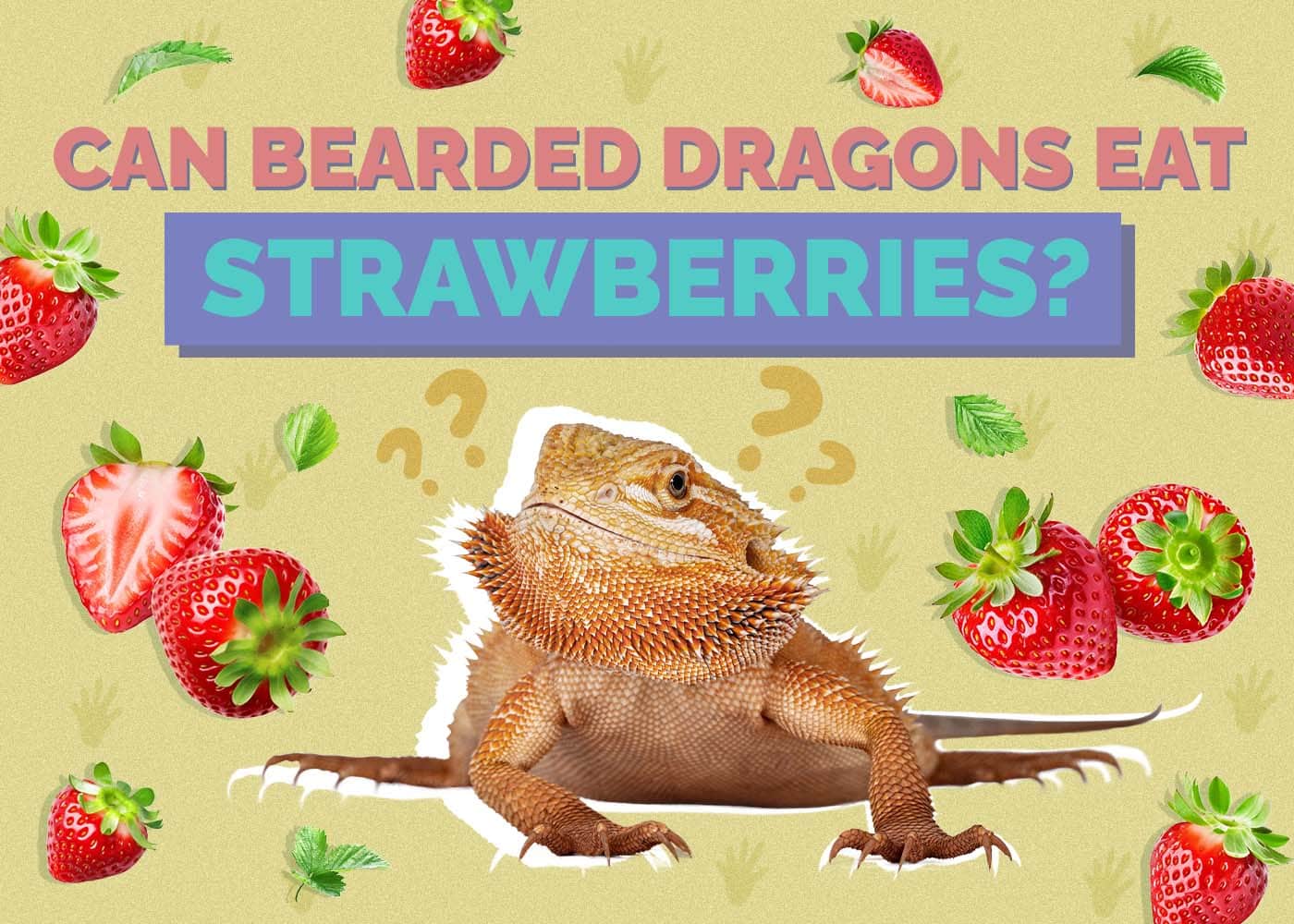 Hepper_Can Bearded Dragons Eat_Strawberries