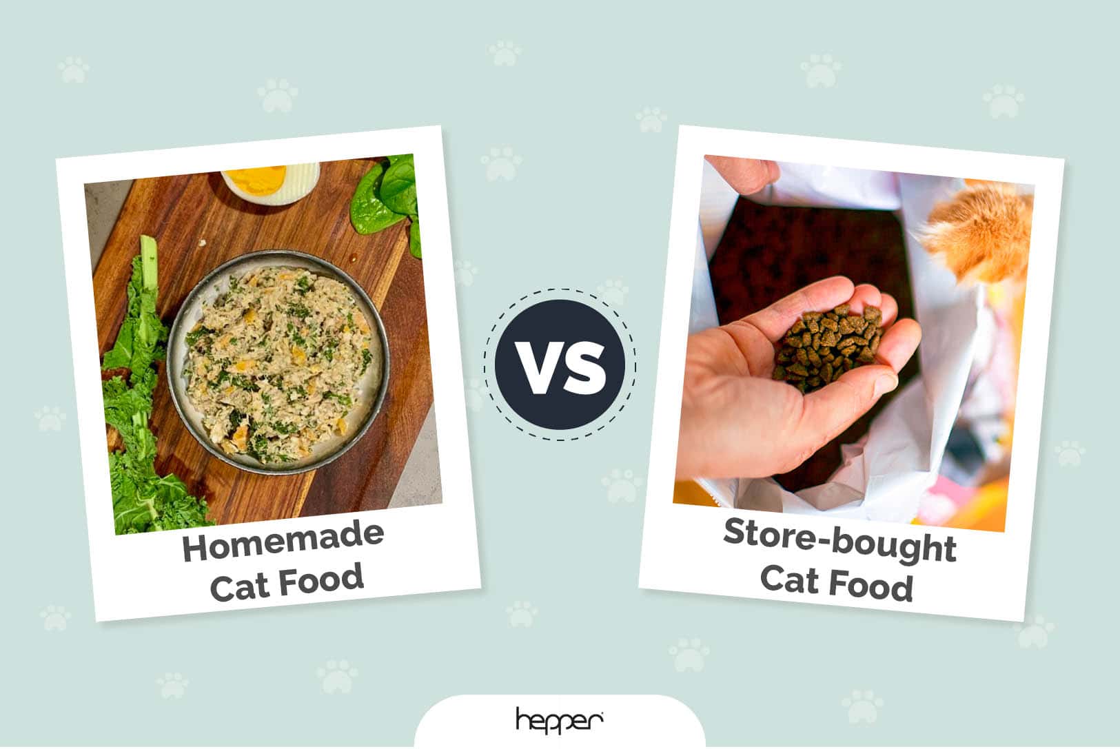 Homemade Cat food vs Store-bought Cat food