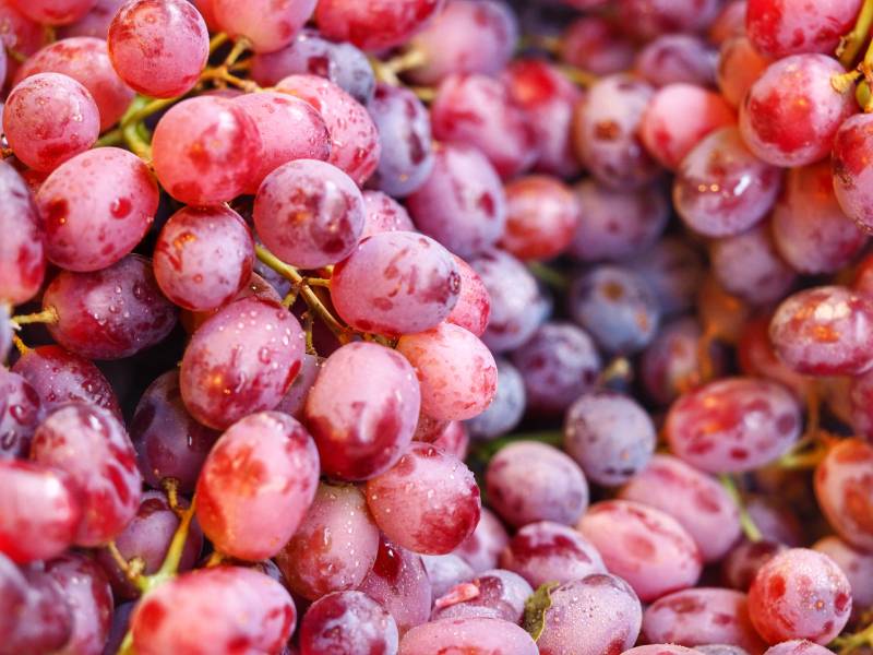 Red seedless Grapes texture in market