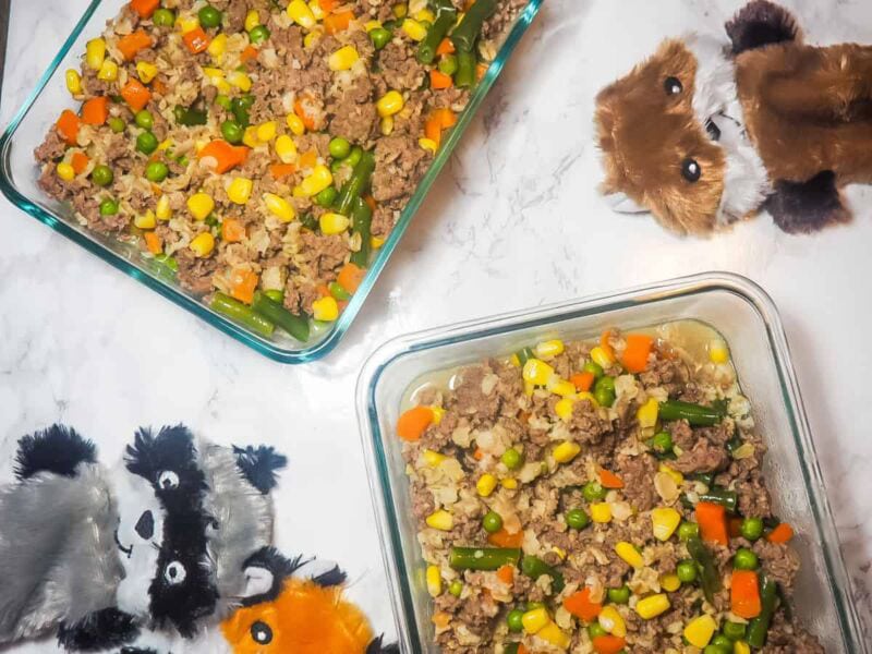 10 Homemade Chicken Dog Food Recipes (Vet Approved) | Hepper