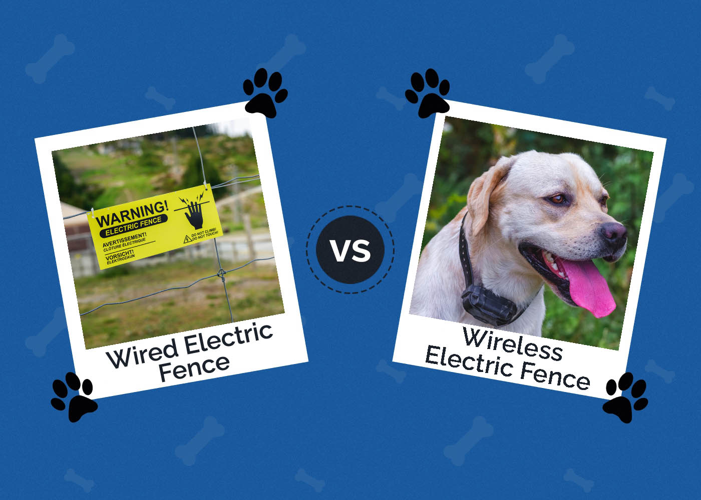 Wired vs Wireless Electric Dog Fence Differences Explained Hepper