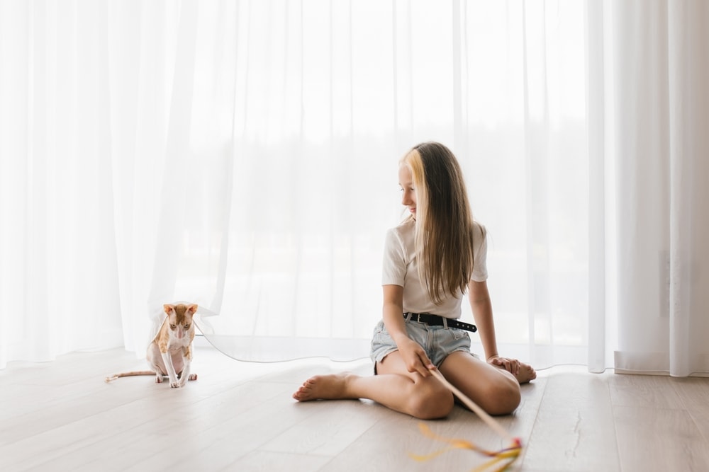Woman with cat after playing