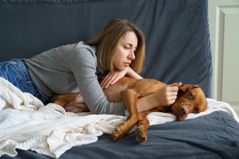 Worried woman taking care of weakening old dog at home