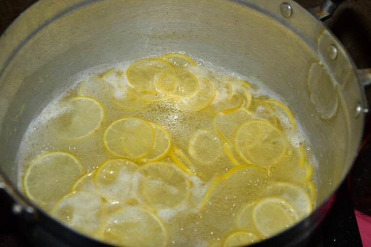 Does Lemon Juice Kill Fleas? Safety Tips, Steps, & Effectiveness Hepper