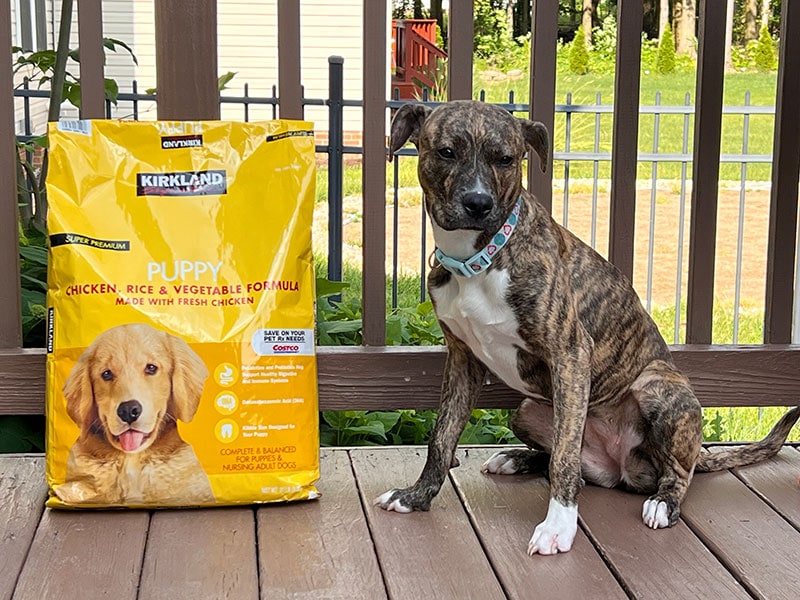 Member's Mark vs. Kirkland Dog Food (2024 Comparison)