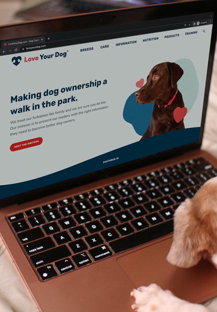15 Top Dog Blogs You Should Know in 2024 Hepper