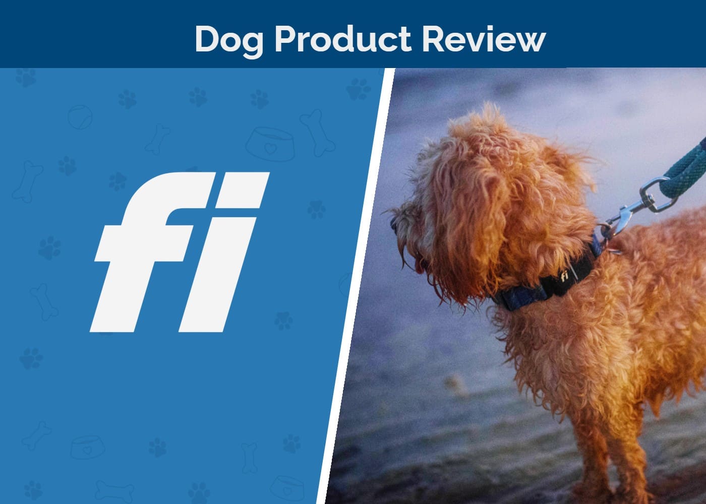 FI Smart Dog Collar Review SAPR Featured Image
