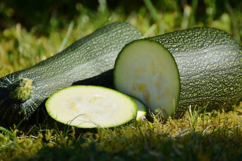 sliced zucchini