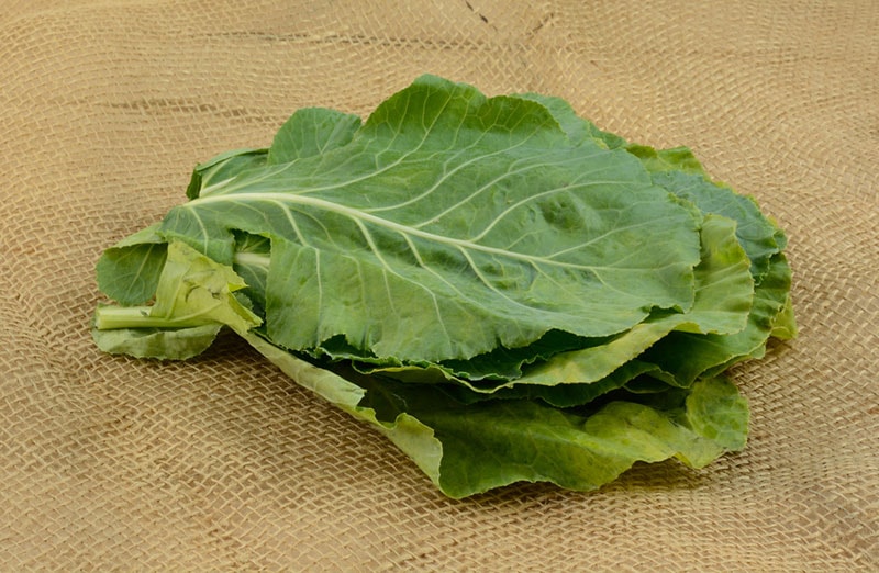 Collard greens hotsell guinea pigs