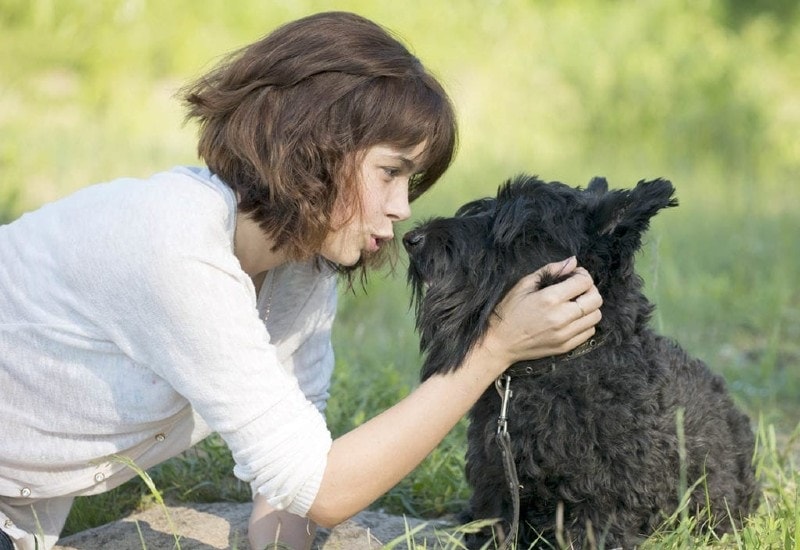 young girl talking to her black dog