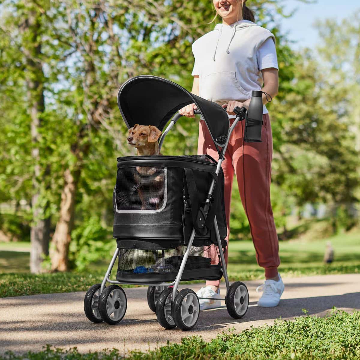 Frisco 3-in-1 Dog Stoller with Detachable Carrier