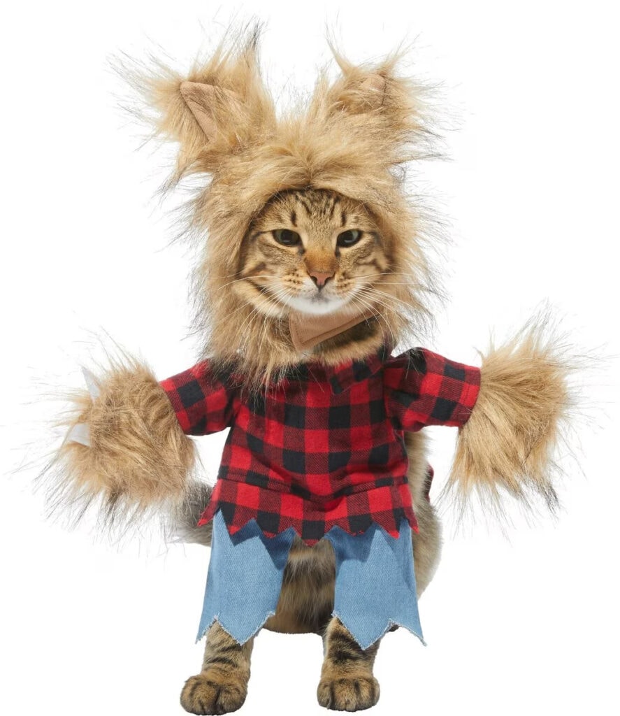 Frisco Front Walking Werewolf Costume