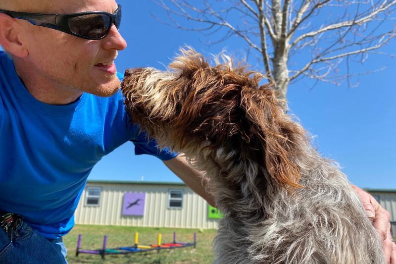Man and German Wire haired pointer dog face to face in pet boarding to be trained