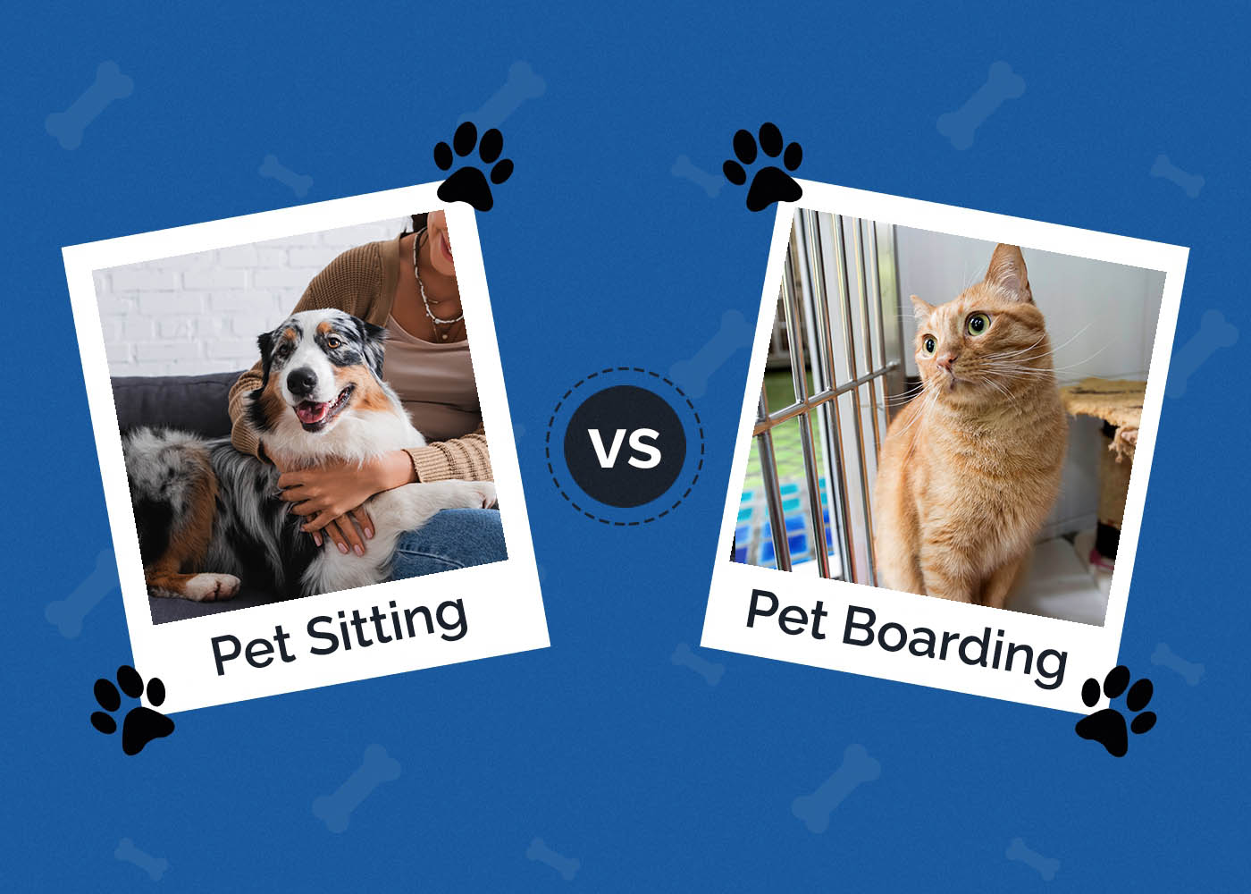 Pet Sitting vs Pet Boarding