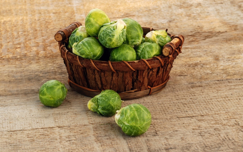 basket of fresh brussel sprouts