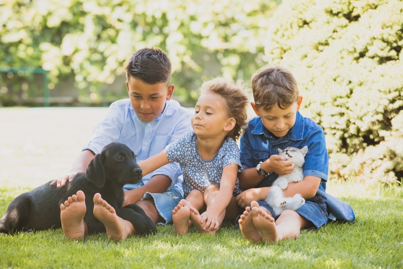 children with pets