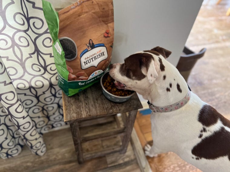 Rachael Ray Nutrish Dog Food Review 2024 Recalls, Pros & Cons Hepper