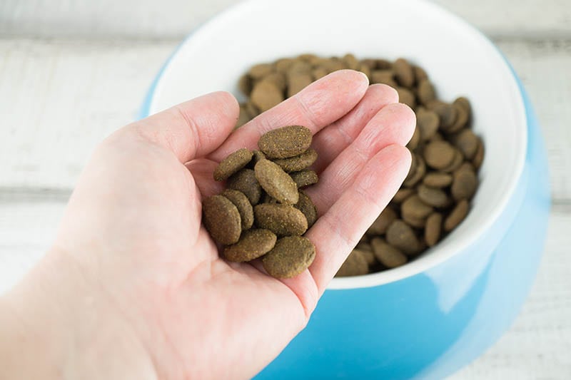 hand scooped dog food from the bowl