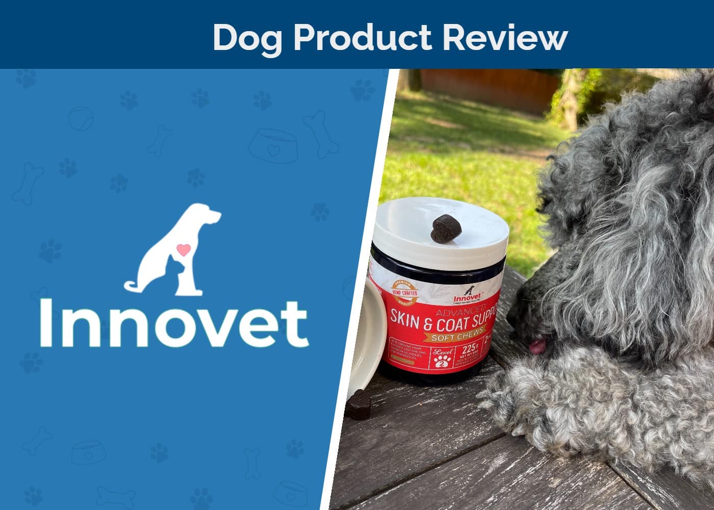 Innovet custom featured image new pictures dog with product