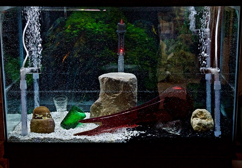 setting up an aquarium tank