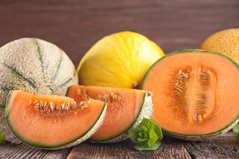 Can Guinea Pigs Eat Melon Vet Approved Diets Types Hepper