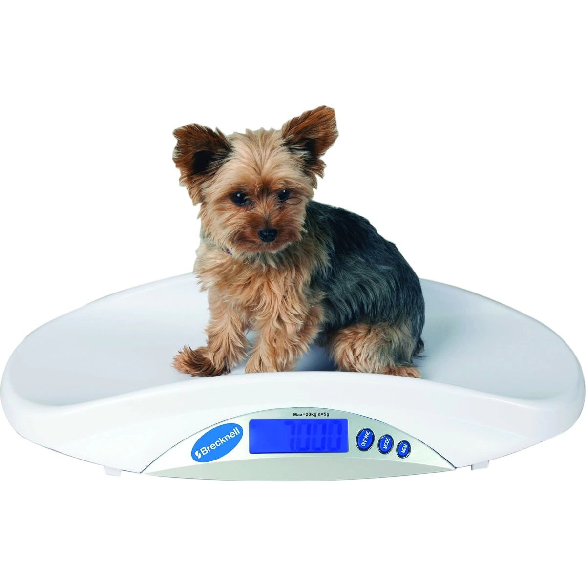 10 Best Pet Scales for Cats 2024 Reviews & Top Picks Hepper
