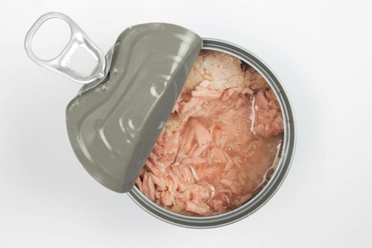 Can Cats Drink Tuna Water? VetApproved Nutritional Facts Hepper