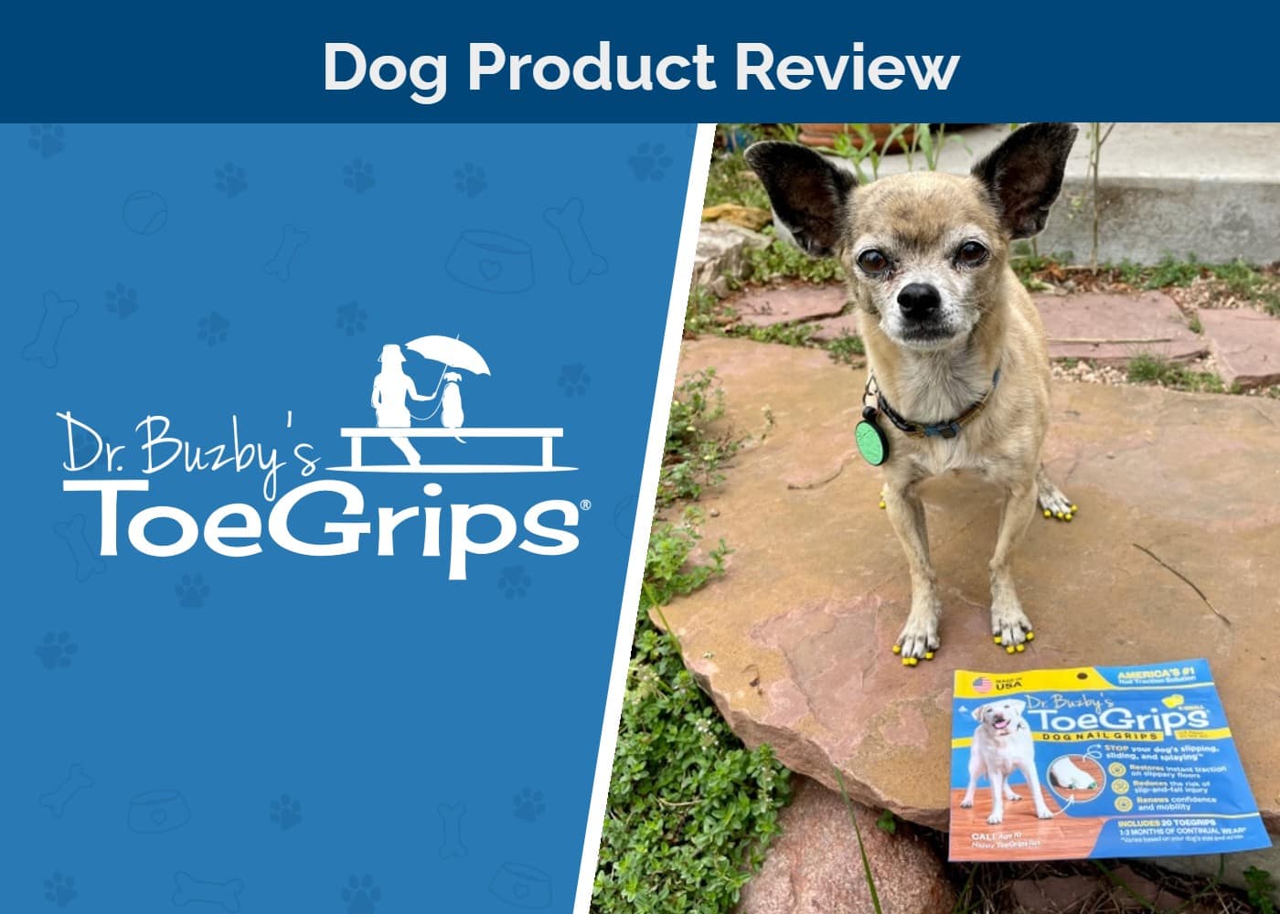 Dr. Buzby’s ToeGrips For Dogs Review SAPR FT