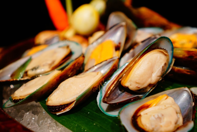 Fresh New Zealand green-lipped mussels ready to eat