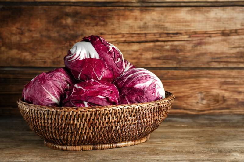 Fresh ripe radicchios in wicker basket on wooden table