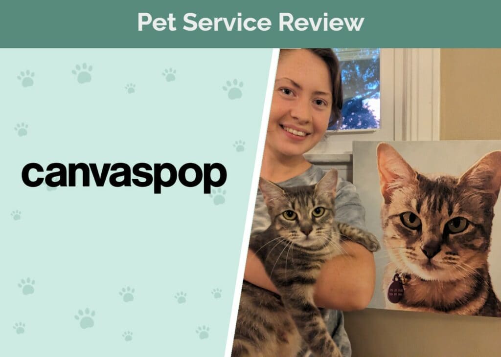 Canvaspop featured image SAPR HEP