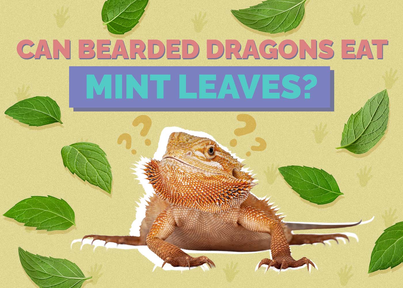 Hepper_Can Bearded Dragons Eat_Mint Leaves