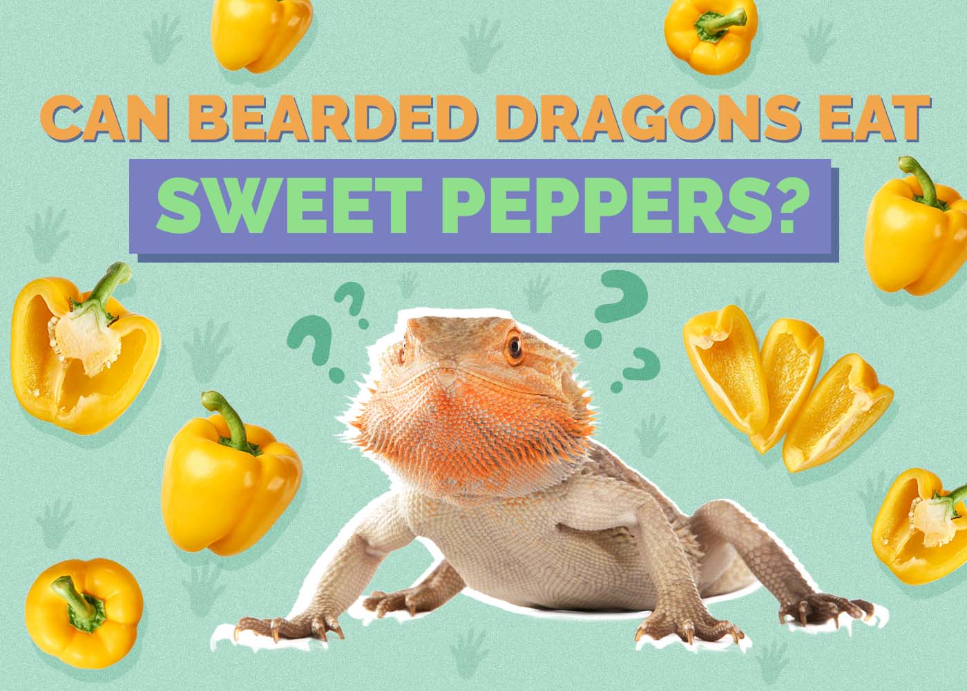 Can Bearded Dragons Eat Sweet Peppers Vet Reviewed Nutritional Facts 