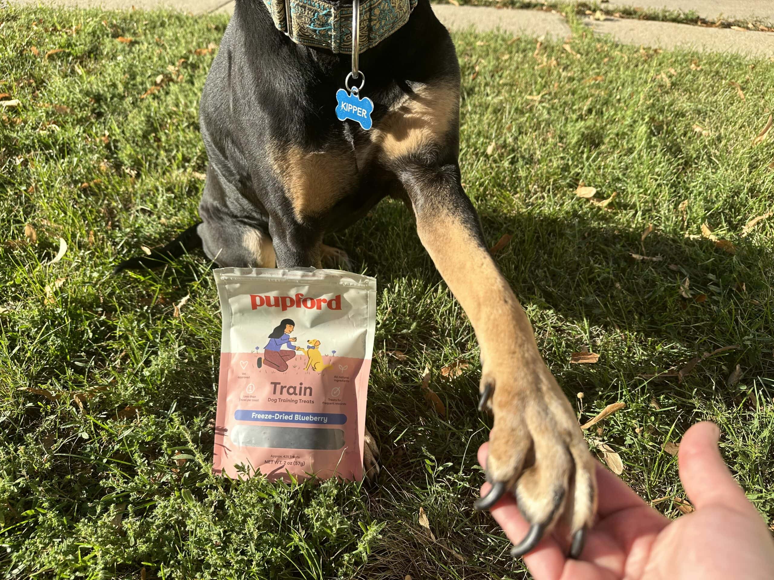 Pupford Training Treats 