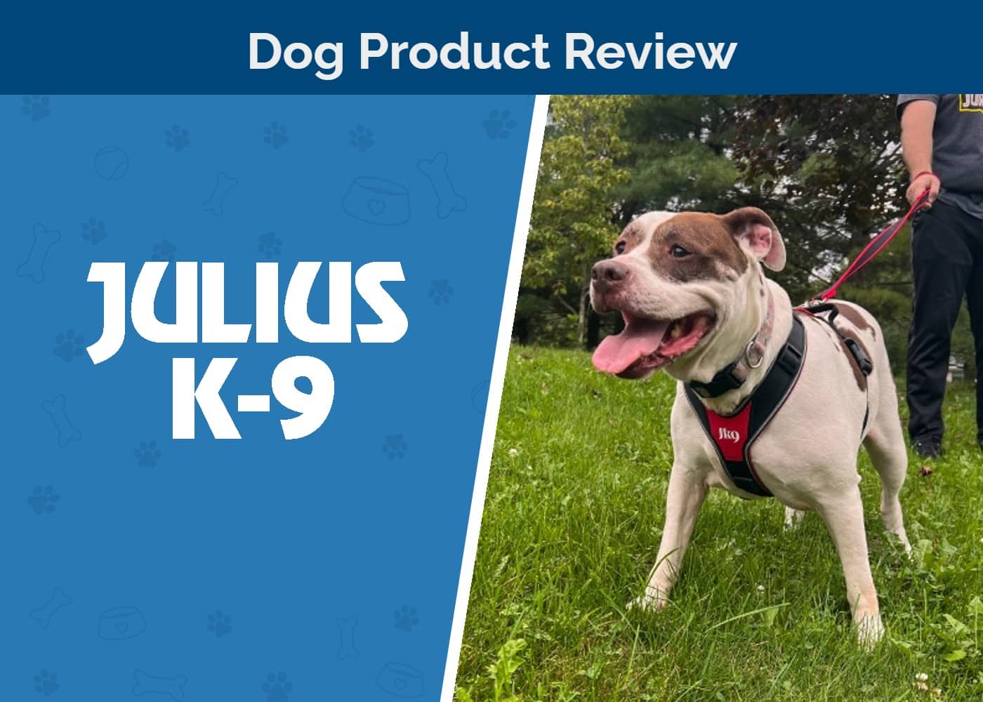 Julius K9 Speed Harness Review SAPR FT