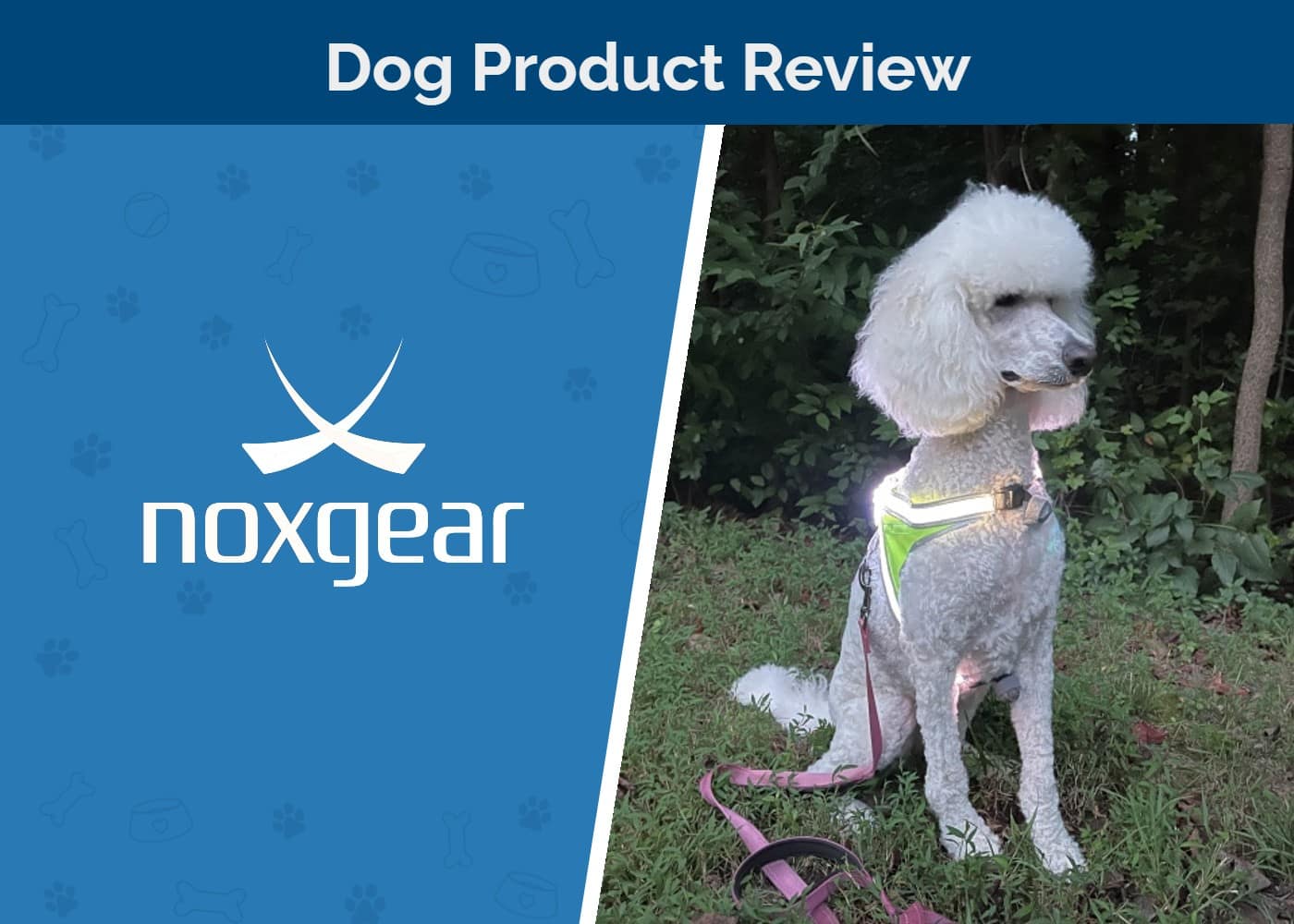 Noxgear LightHound Dog Harness Review SAPR FT