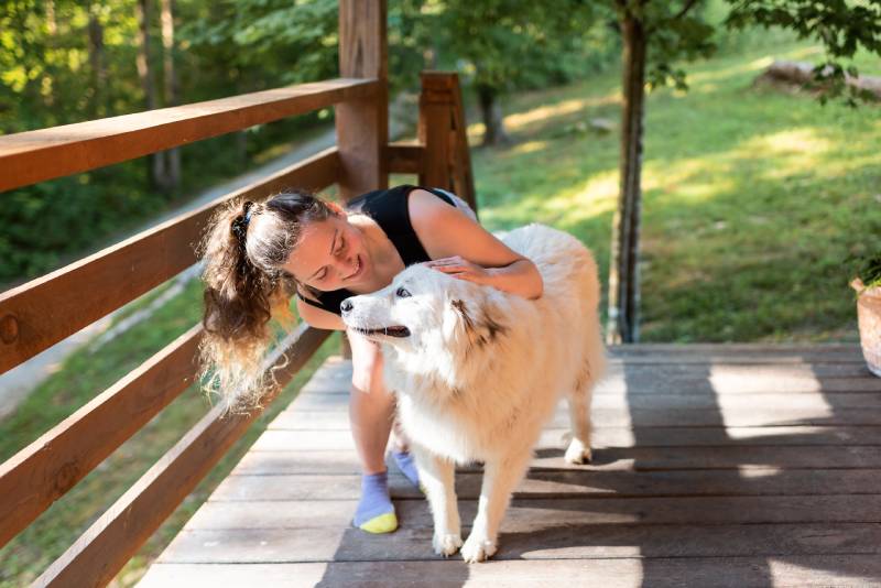Young woman petting one happy white great pyrenees dog outside at home porch of log cabin