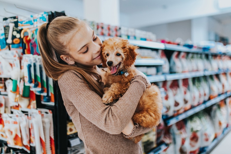 a girl with her poodle puppy in pet shop