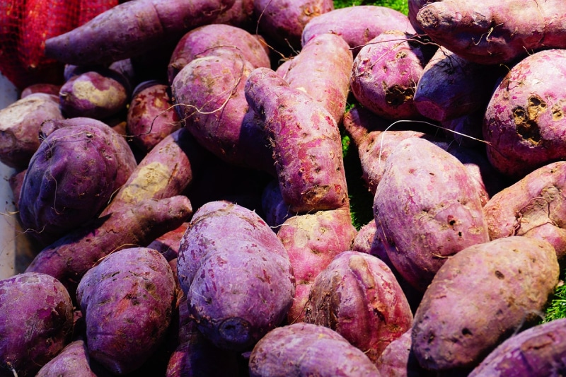 close up of purple sweet potatoes