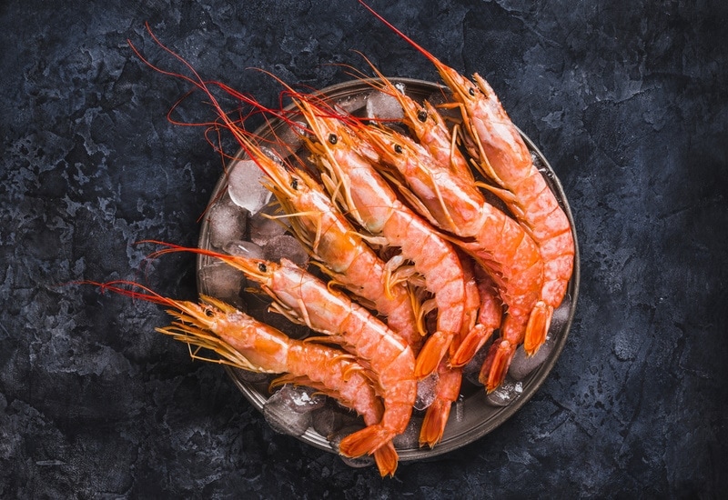 cooked shrimp in black background