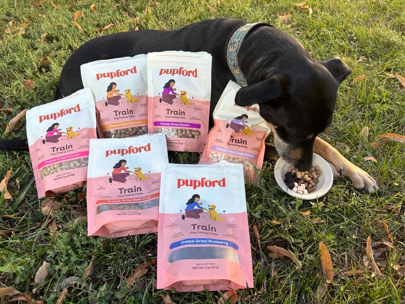 dog eating pupford training treats